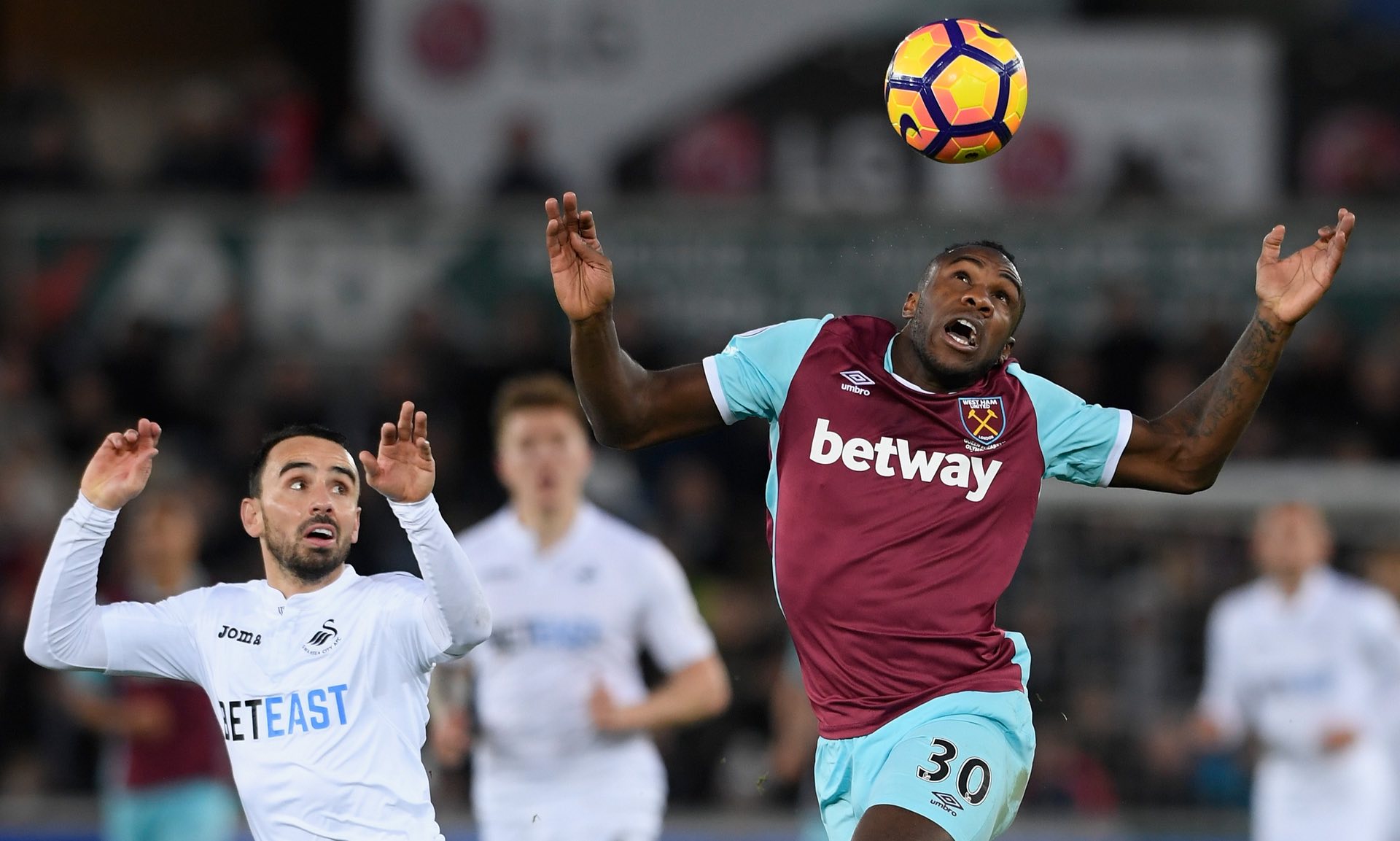 也反映了欧 也反映了欧